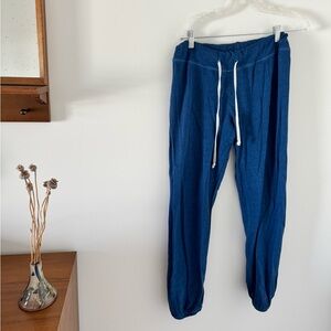 Sundry (Sold by Anthropologie) Blue Joggers
